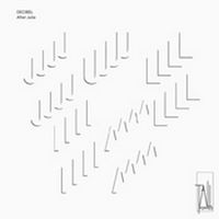 Front cover art for After Julia